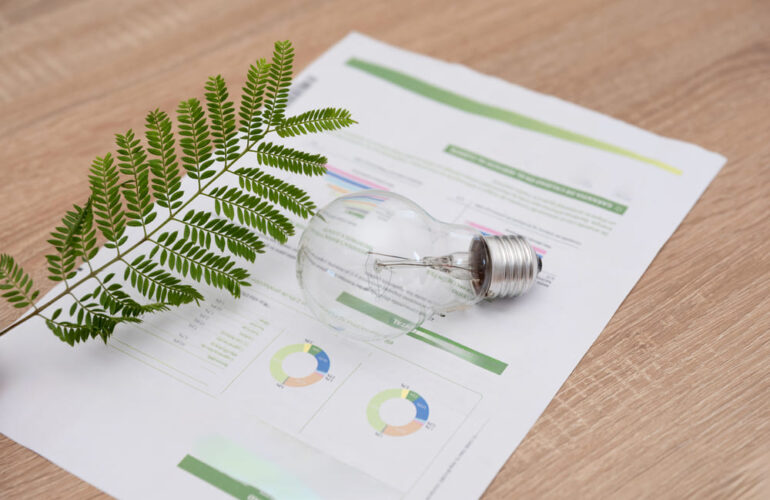 Certificados de Ahorro Energético (CAE)