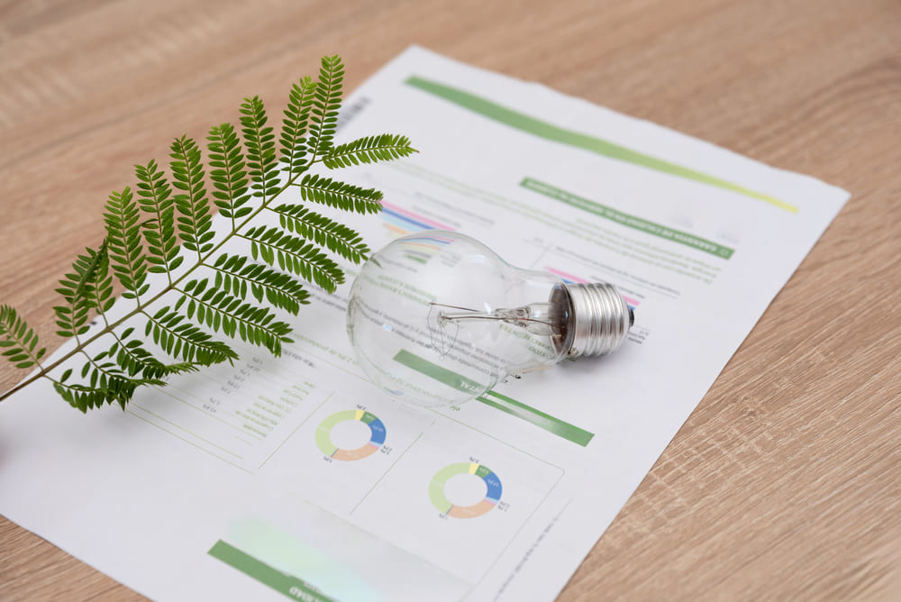 Certificados de Ahorro Energético (CAE)