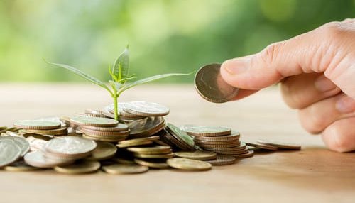 plantar-arboles-en-una-pila-de-monedas-con-luz-solar subvenciones ambientales